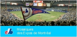 Mosaics of Montreal Expos